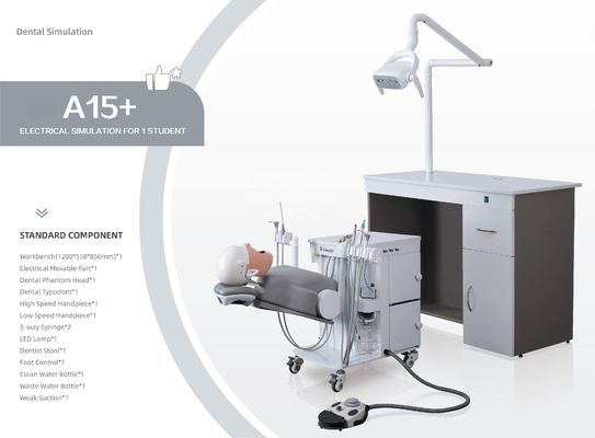 OEM ปฏิบัติ Phantom Head จำลองทันตกรรม A1 A3 A15 สำหรับนักเรียน