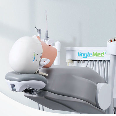 College School Phantom Head Dental Simulator ทนทานสำหรับทันตกรรม