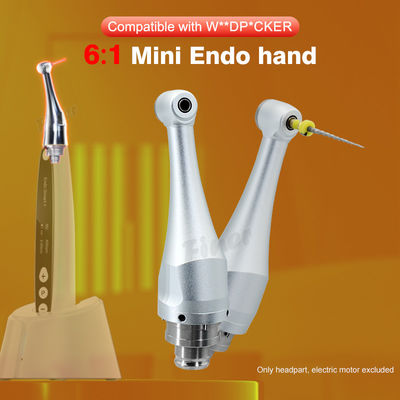 6/1 ทันตกรรม หัวจับเอ็นโดดอนต์สำหรับการรักษาคลองรากฟันมอเตอร์ Endo 4.0N.cm