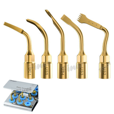 25KHz Piezo Bone Surgery Tips for Sinus Lifting Tooth Extraction การผ่าตัดฟันขั้นตอน