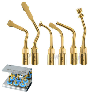 25KHz Piezo Bone Surgery Tips for Sinus Lifting Tooth Extraction การผ่าตัดฟันขั้นตอน